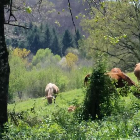 Combecave Bed & Breakfast Vabre-Tizac Екстериор снимка